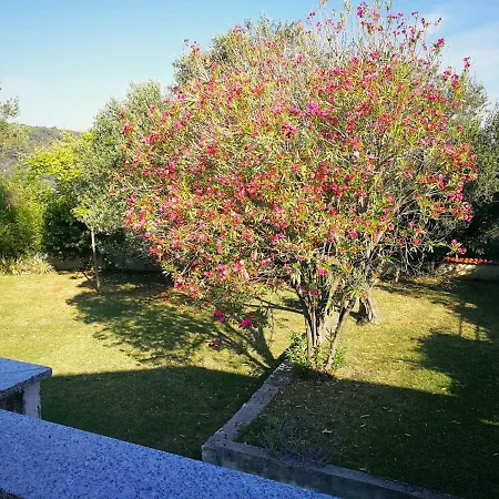 Apartment Family Friendly Island Rab Kampor